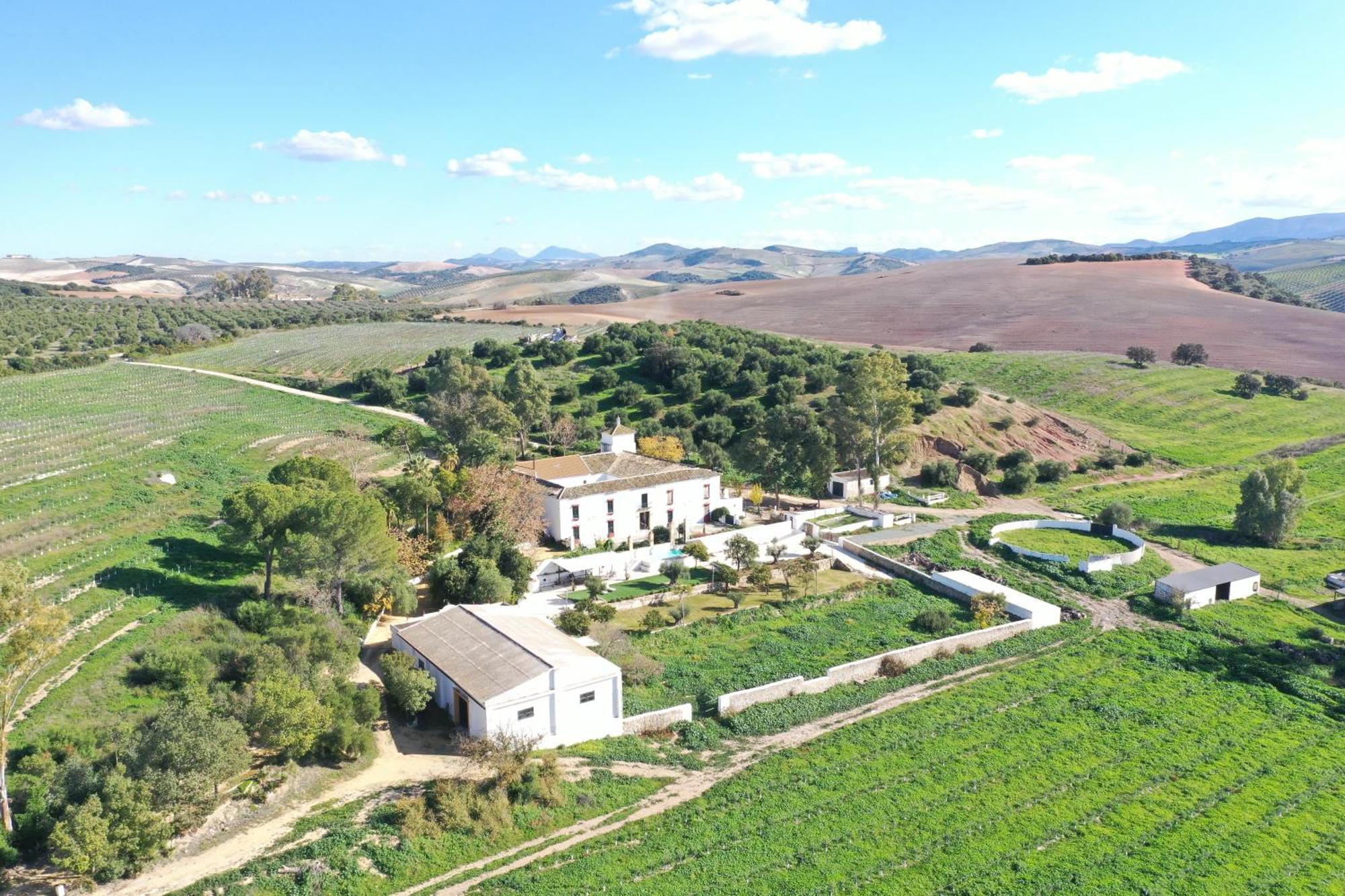 Hacienda Las Lumbreras Montellano Екстер'єр фото